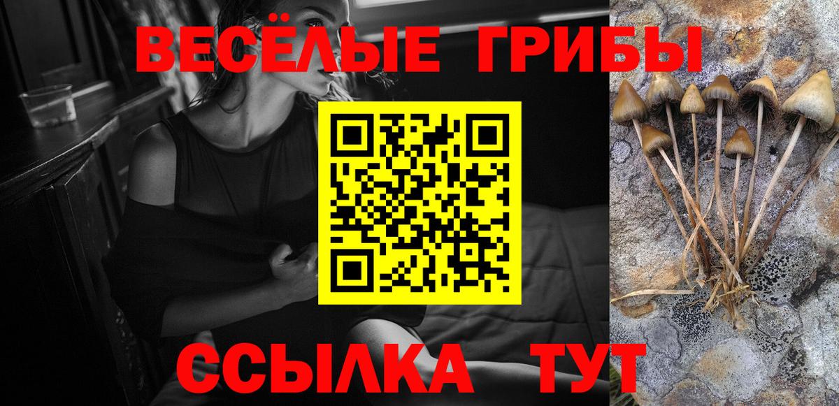 Псилоцибиновые грибы прущие грибы  Вход с VPN  Зеленокумск 
