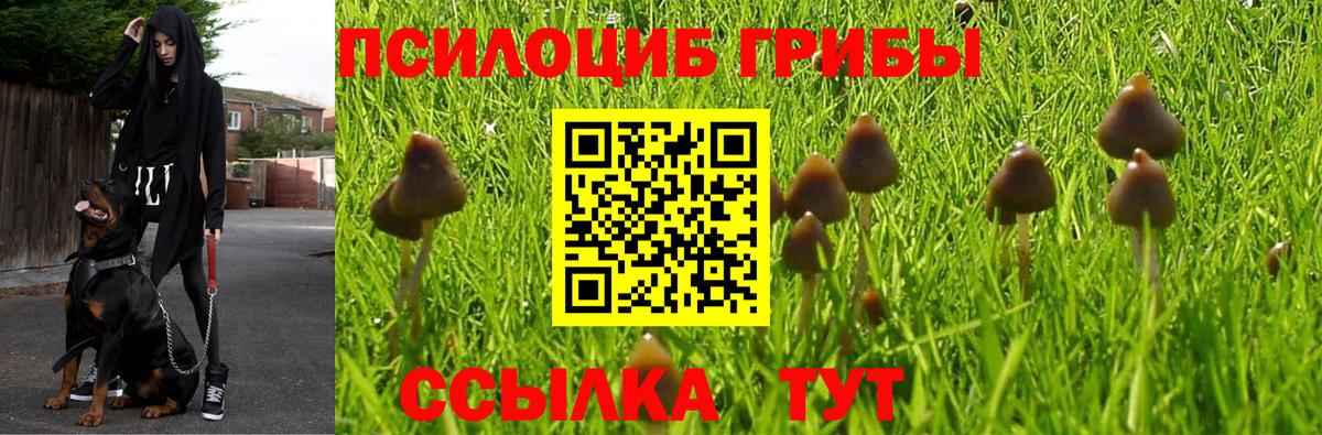 Псилоцибиновые грибы прущие грибы Зеленокумск